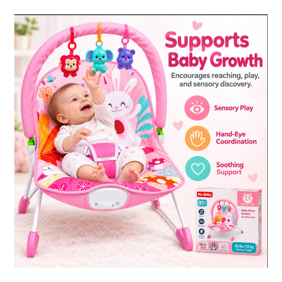 Baby Bouncer